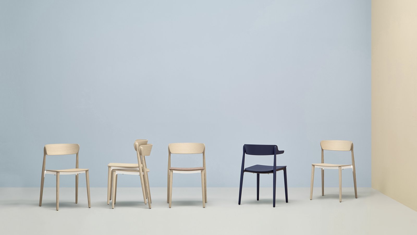 Chaise design Nemea de Pedrali en frêne