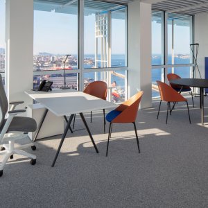 Travail de groupe avec les Cila Go mobiles