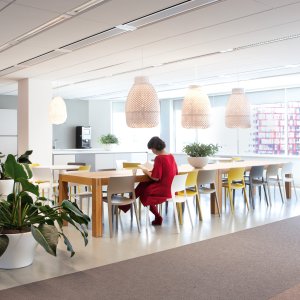 Chaises design d'Arper : la collection Juno 02