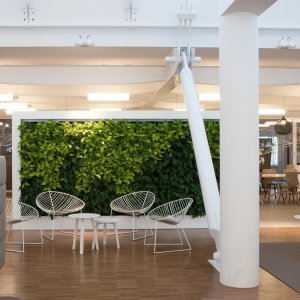 Chaise Leaf d'Arper devant un bureau de home office