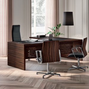 e-10 en ébène rayé avec fauteuil de direction en cuir