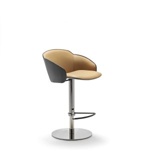 Coque basculante du fauteuil Electa BG