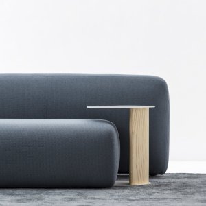 Volumes organiques de la collection Suiseki