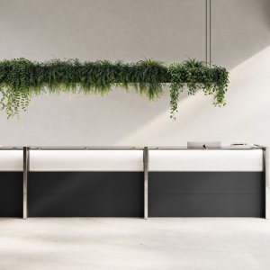 Tablette en verre trempé de la banque d'accueil Nice sur supports tournés en acier inoxydable
