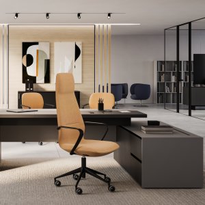 Accoudoirs BRSY en aluminium poli du fauteuil de direction Synua