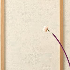 Déchirer dans la couleur pleine masse Piombo