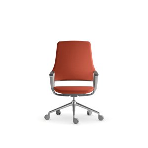 Le bord anatomique de l'assise de l'Aventador