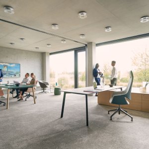 Voile de fond en Fenix sur le bureau se:vision