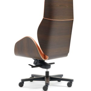 Accoudoirs du fauteuil de direction Suoni