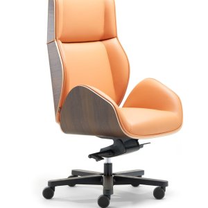 Siège visiteur Guest Chair de la famille Suoni