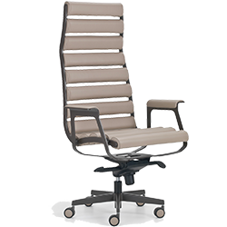 Aria executive